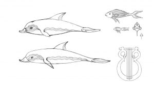 Dolphin - Concept Art - image 3