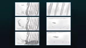 Dolphin - Storyboard - image 1
