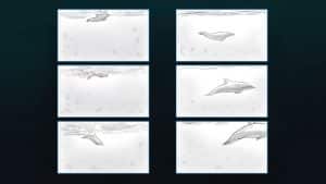 Dolphin - Storyboard - image 2
