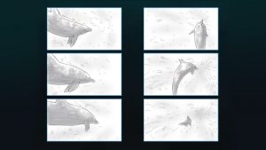 Dolphin - Storyboard - image 3