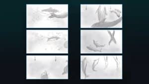 Dolphin - Storyboard - image 8