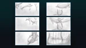 Dolphin - Storyboard - image 9
