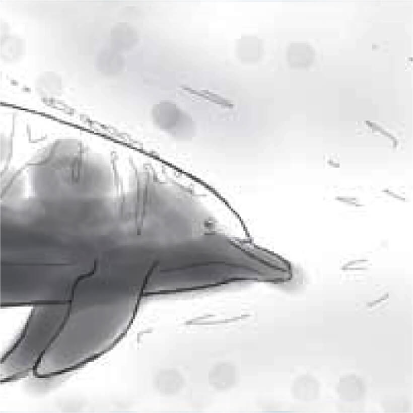Storyboard Dolphin featured image
