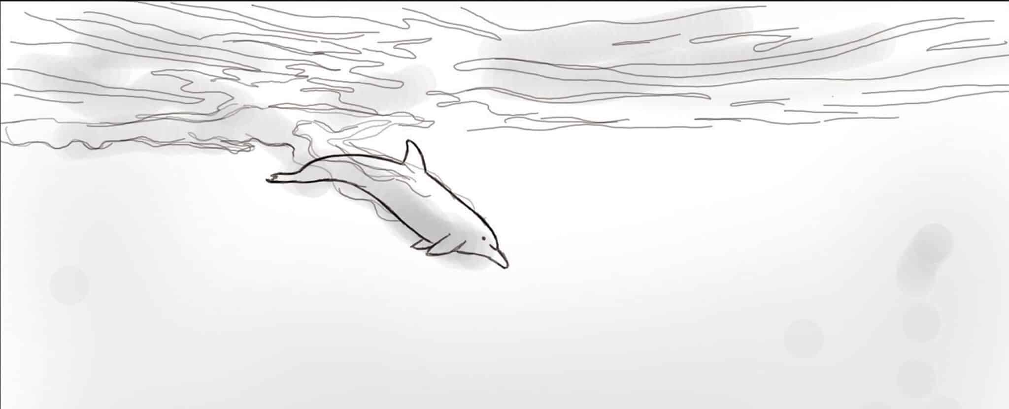Storyboard - Dolphin - page title image