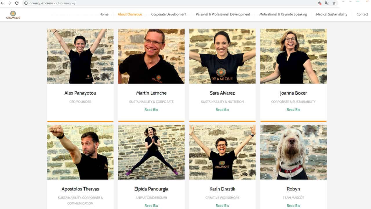 Oramique - Graphic Design - website - image 5